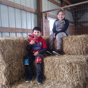 Meet your Posher, Paula